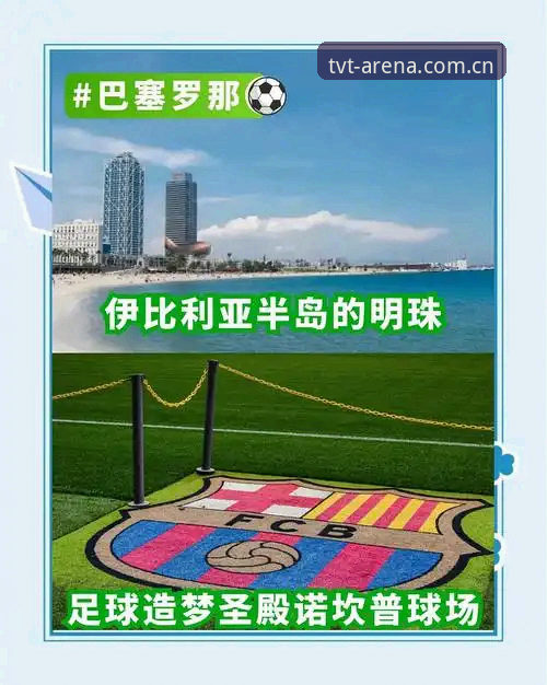 资深球迷深度解析：世界杯观赛签证危机与TVT体育平台观赛体验分享